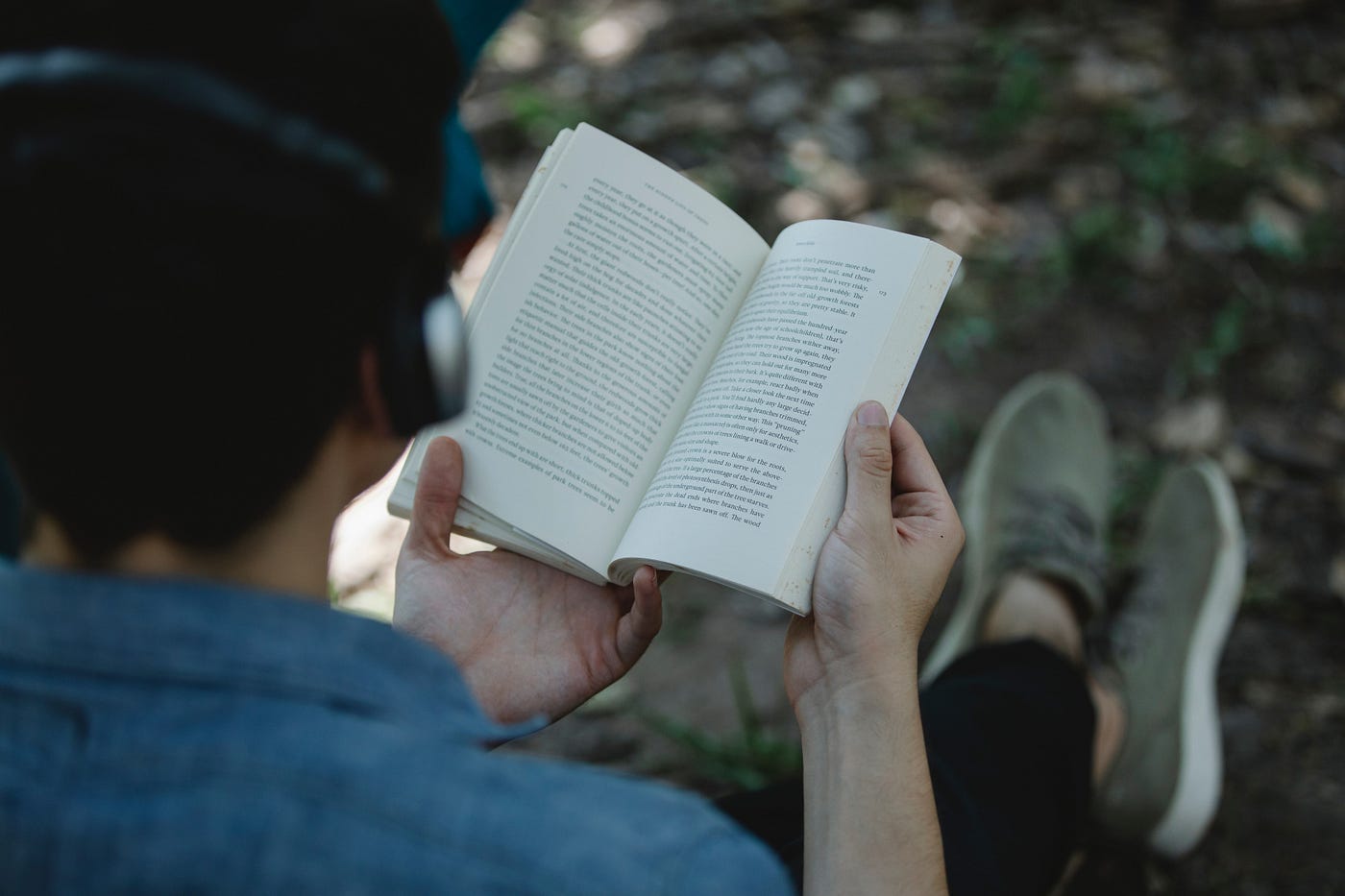 Picture of a boy reading a book.