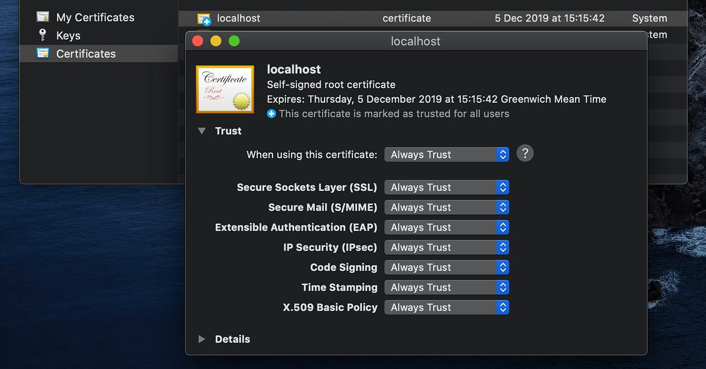 Encrypted Websockets with Express and Socket.io | by Ross Bulat | Better  Programming