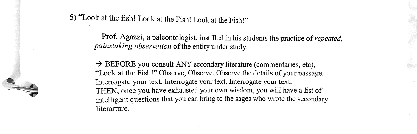 Look At The Fish I First Heard The Phrase From My Izak Medium