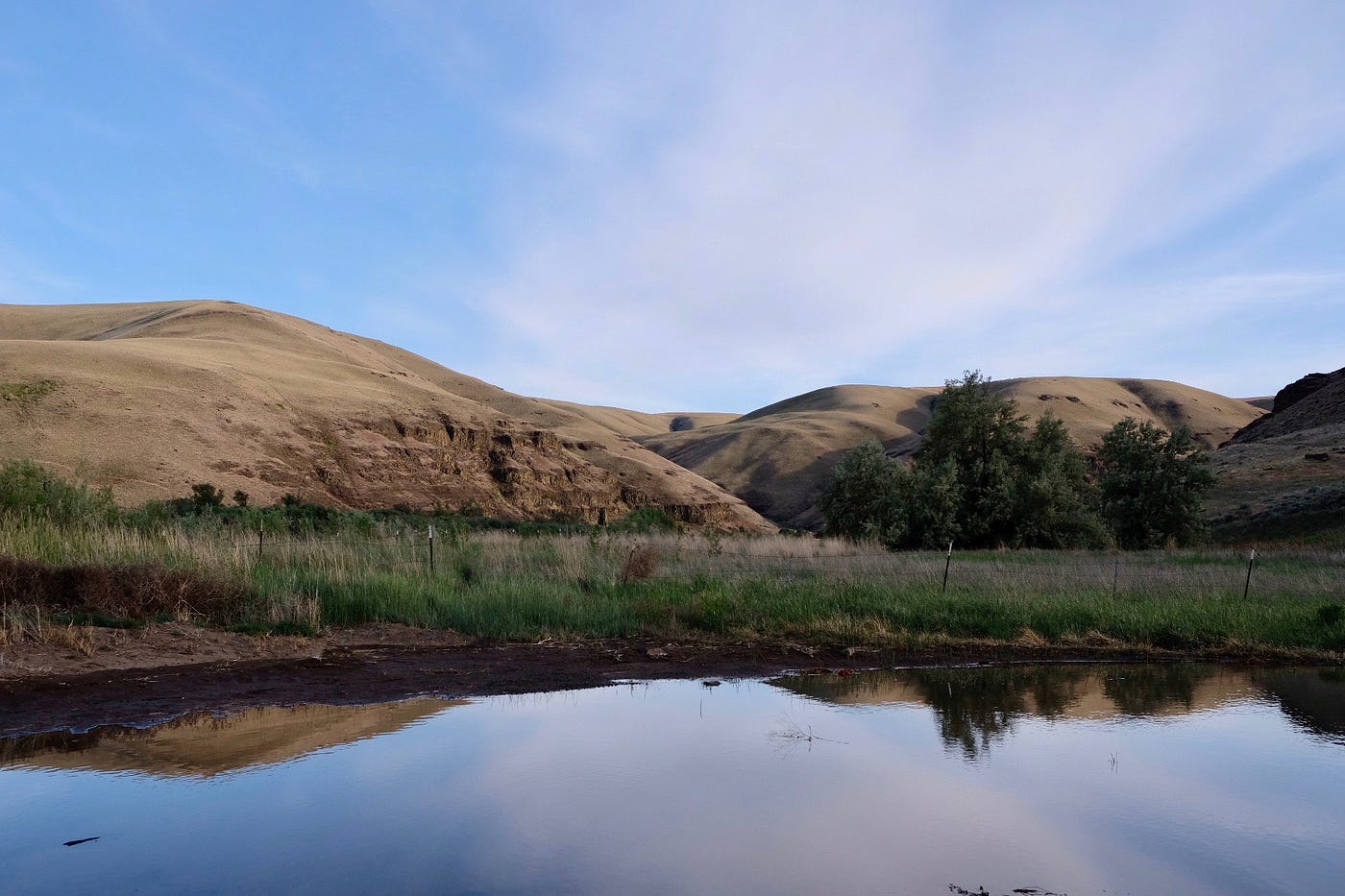 A pond and a hillside, its reflection can be seen in the water.
