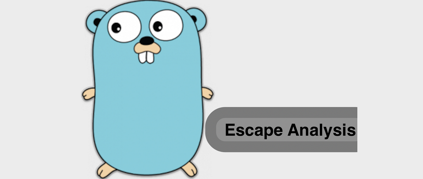 escape analysis with gopher