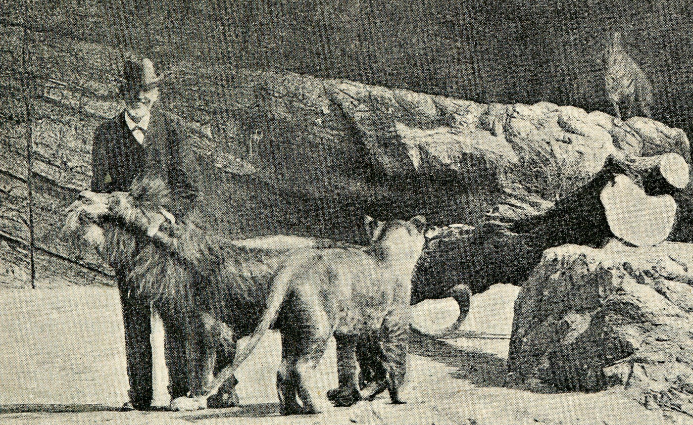 Todas Las Criaturas Grandes Y Pequeñas Serie Wikipedia Matar ratas y admirar pavorreales: ¿Deben existir todavía los zoológicos? |  by FOROtv | Opinión con Foro | Medium