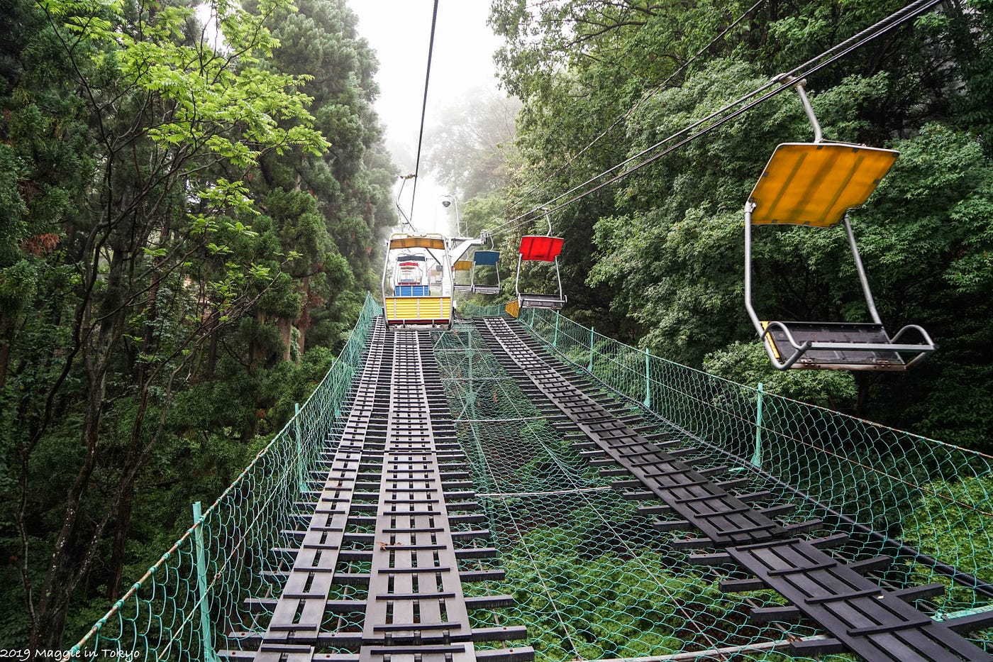 高尾山 東京近郊 一日自由行 今年六月去了一趟東京 其中一天安排了位於東京近郊的高尾山一日遊 可以算是整趟旅程 By Maggie Hung Medium
