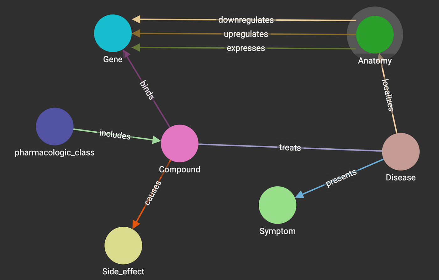 Sample Biomedical Graph