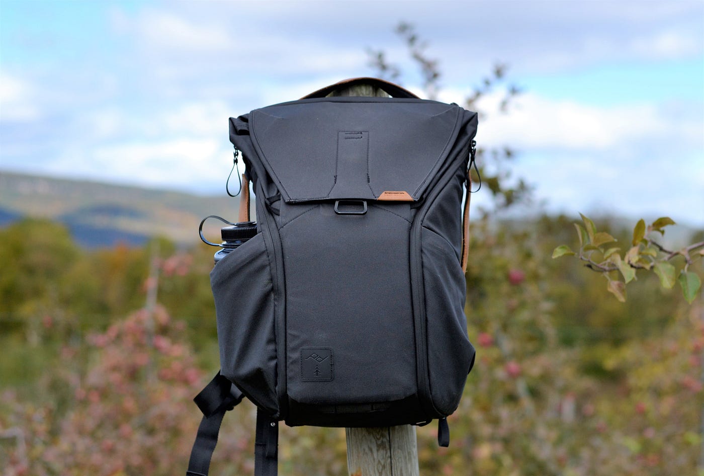 Peak Design Everyday Backpack — Comprehensive Review | by Geoff C |  Pangolins with Packs