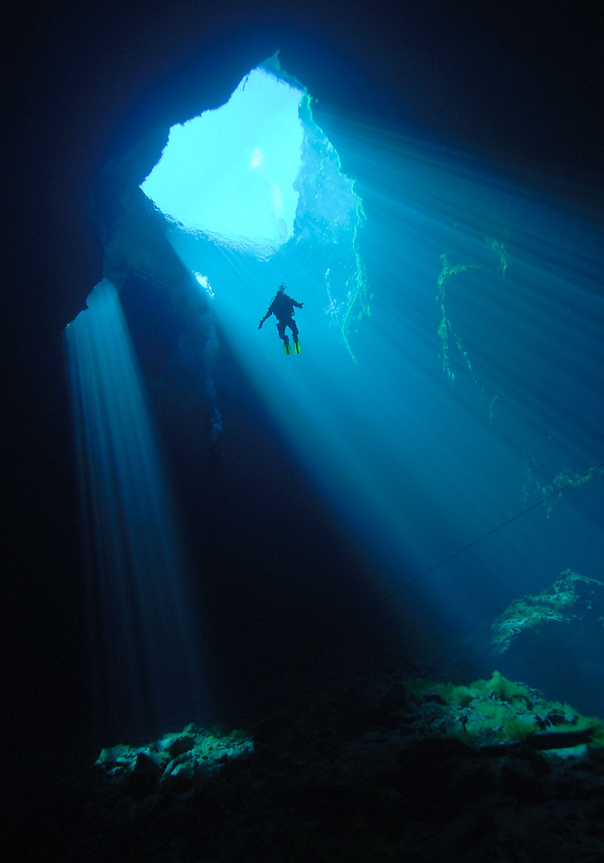 best diving documentaries