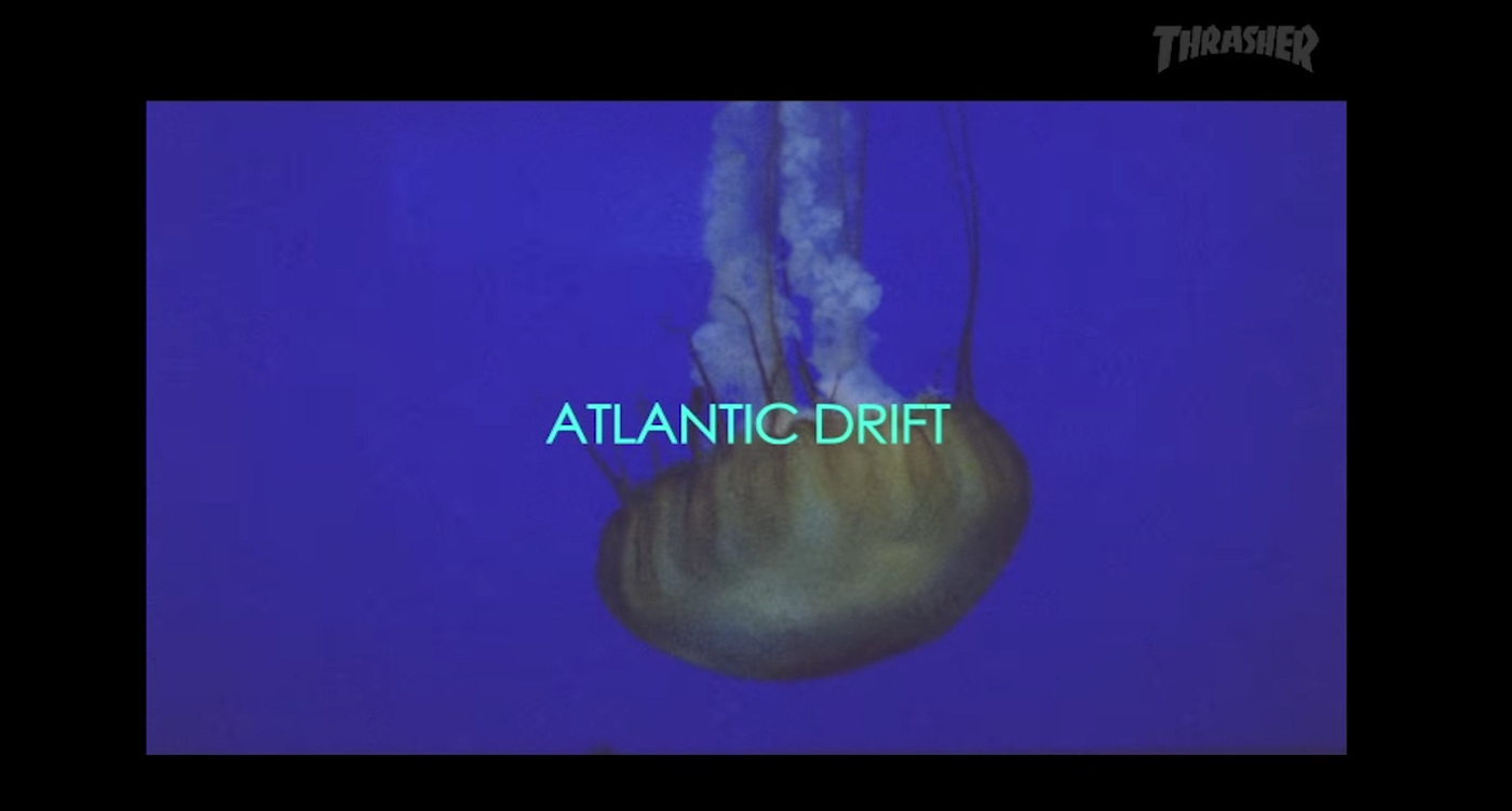 atlantic drift skate