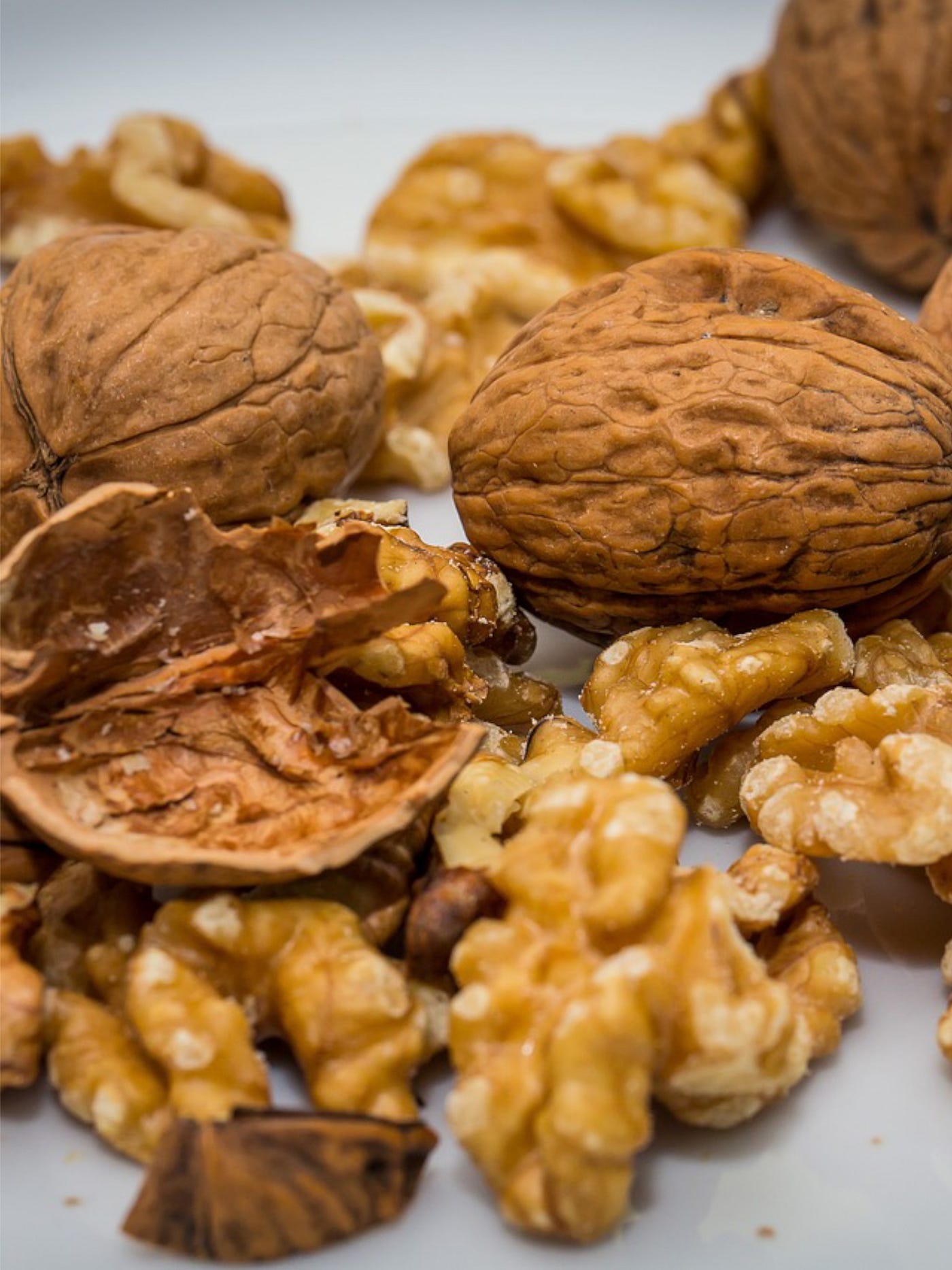 Color photo of fresh walnuts, whole, in the shell and in pieces.