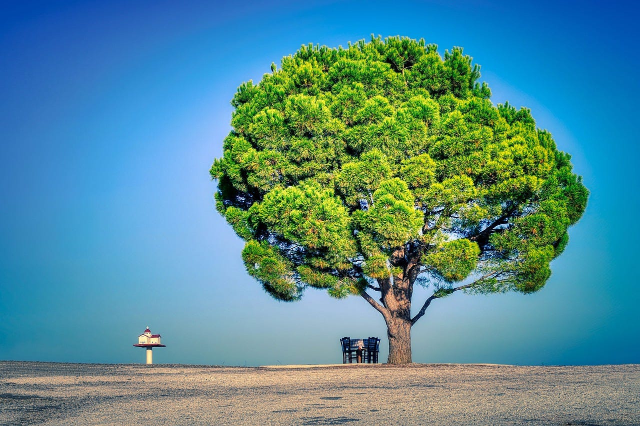 Tree Entity with JPA and spring-boot | by Asterios Raptis | Medium