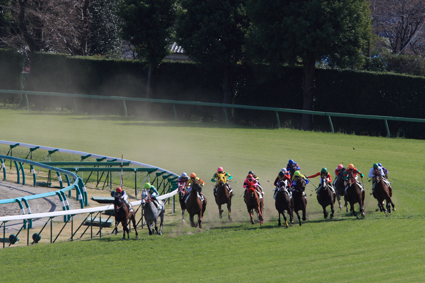 Deep Learning And Horse Race Prediction 1 By Ko Medium