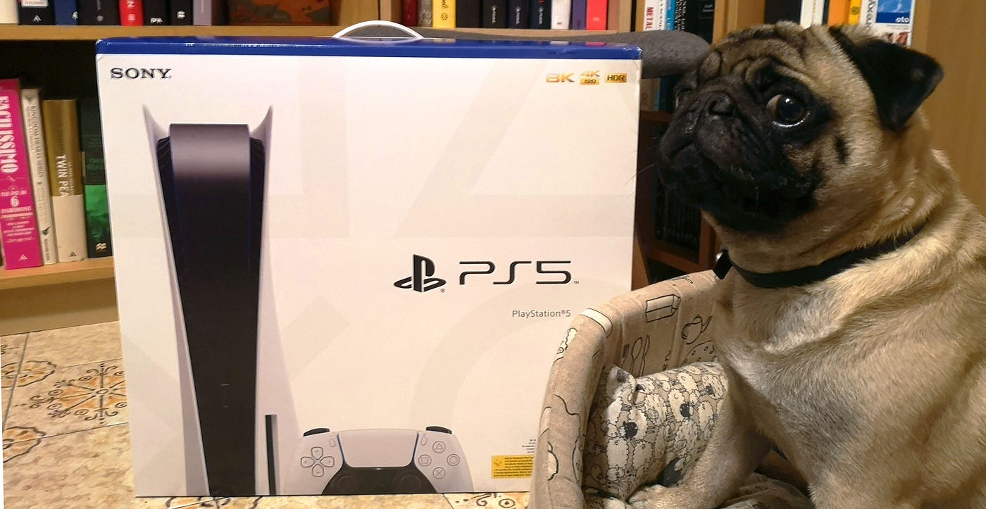 Il mio day one da incubo con Playstation 5: in assistenza dopo un solo  giorno | by Fabio Di Felice | Panino al salame | Medium