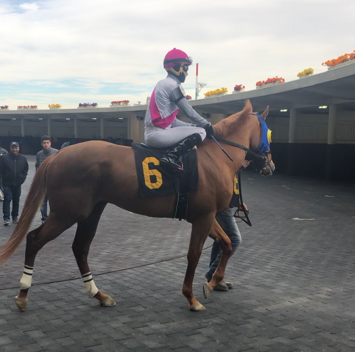 Who Remains At The Aqueduct Racetrack By Conchita Margaret Widjojo Medium