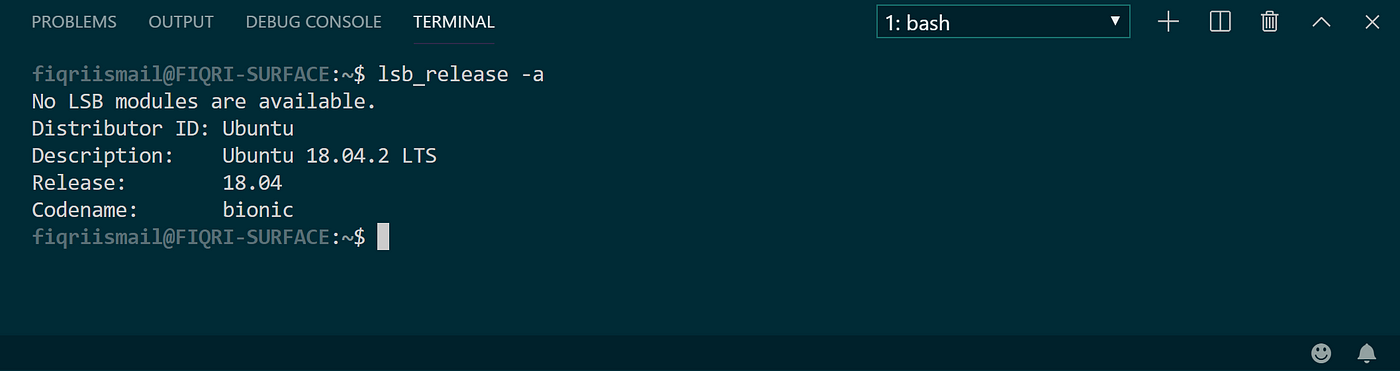 wsl visual studio code install wsl visual studio code install