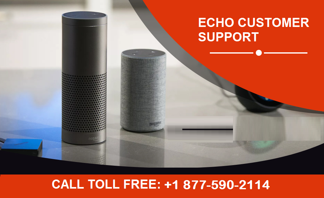 Amazon Echo Customer Support – Medium