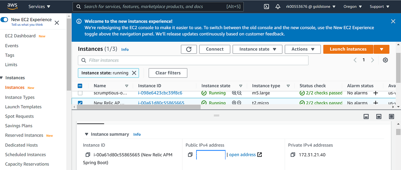 spring boot newrelic
