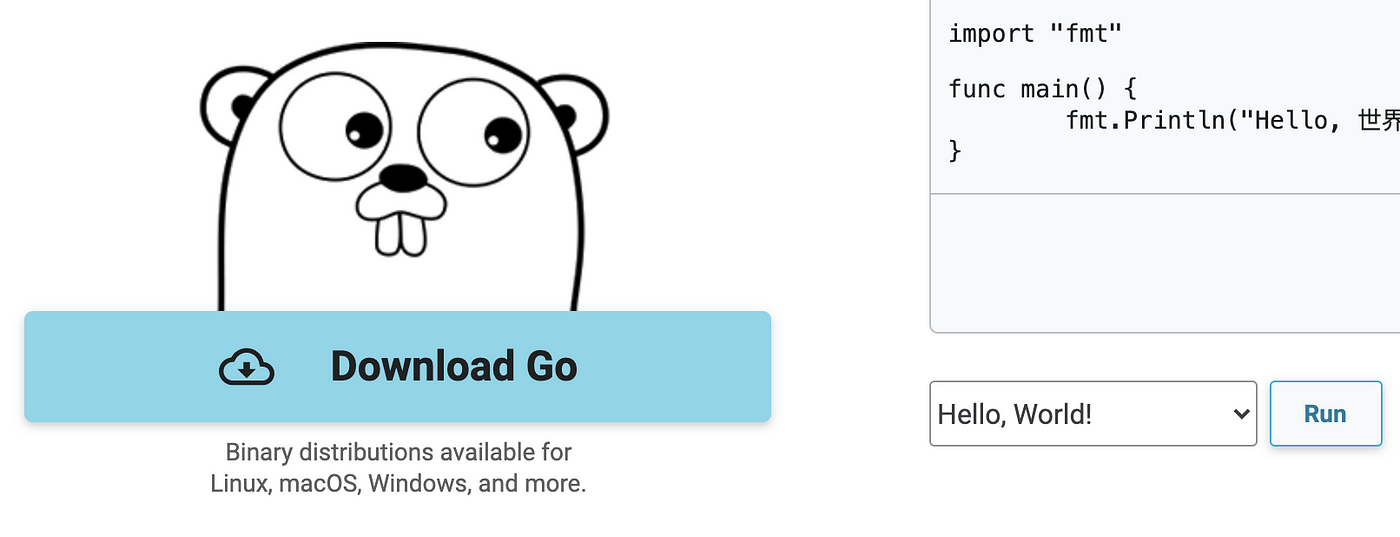 Install Go On Aws Ec2 Getting Started With Go Part 2 By Teri Radichel Cloud Security Medium Install Go On Aws Ec2 Getting Started With Go Part 2 By Teri Radichel Cloud Security Medium