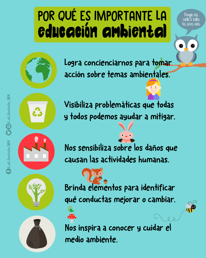 Por qué es importante la educación ambiental | by La Libélula México |  Medium