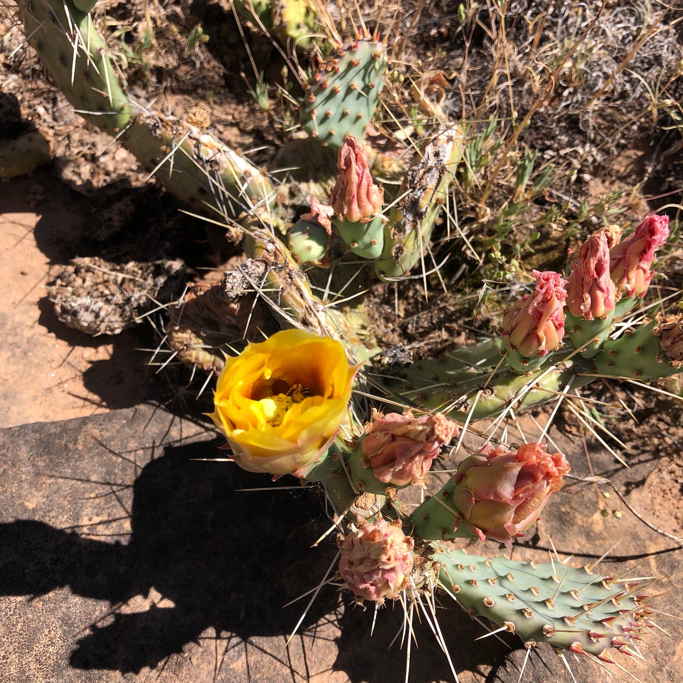 When your Day Job ZAPS your Energy by KW Davis Medium