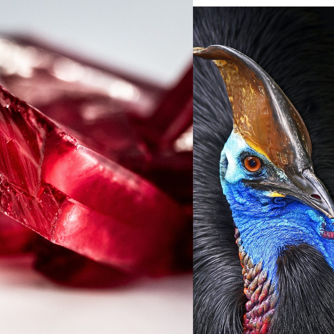 Fluttering On Rails Part 2 Create Action, Item Params & Flutter HTTP