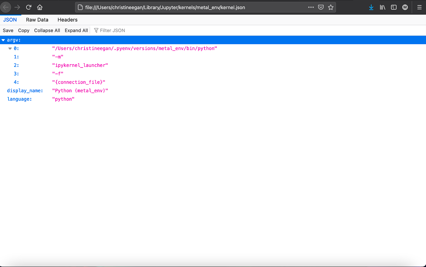Using Jupyter Notebook in Virtual Environments for Python Data Science  Projects | by Christine Egan | Towards Data Science