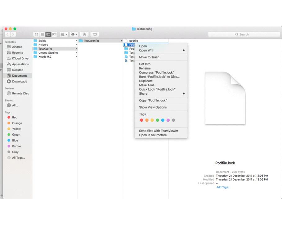 Complete Tutorial To Organise iOS Xcode Project Staging, Development