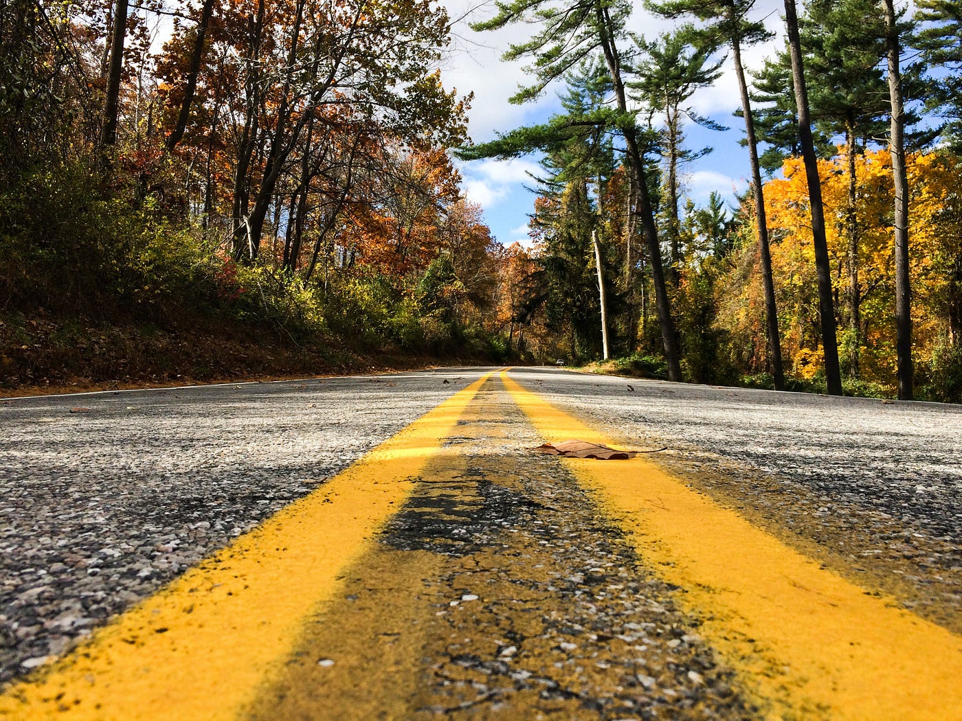Yellow lane lines down the center of a paved forest road under a daylight sky.