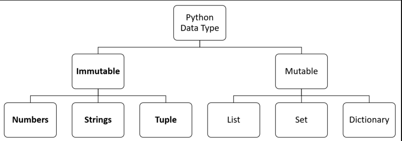 The wonderful world of the objects in python | by Santiago Arboleda ...