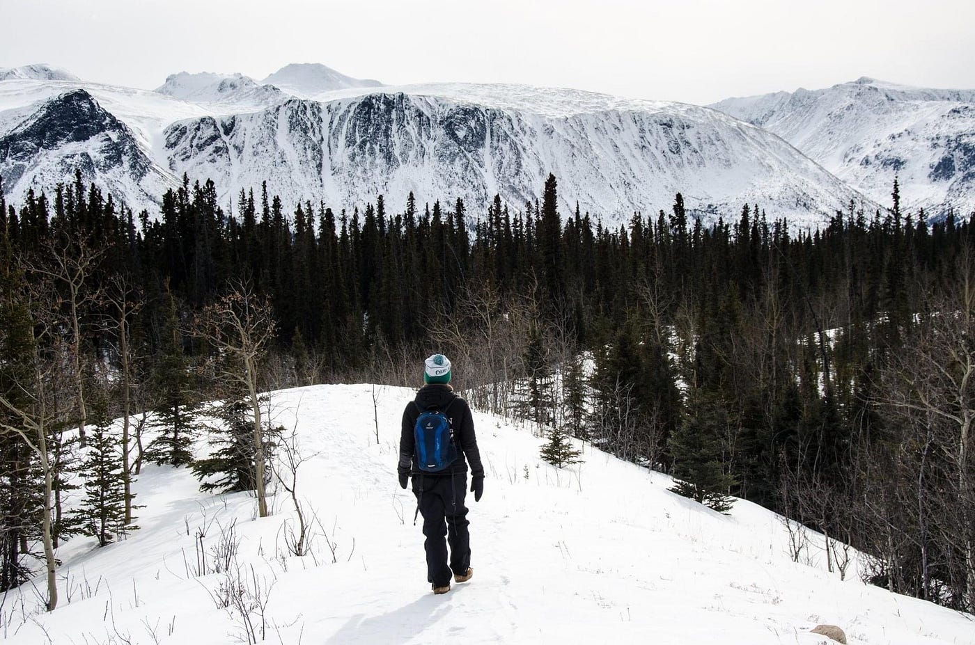 Jennifer England Medium