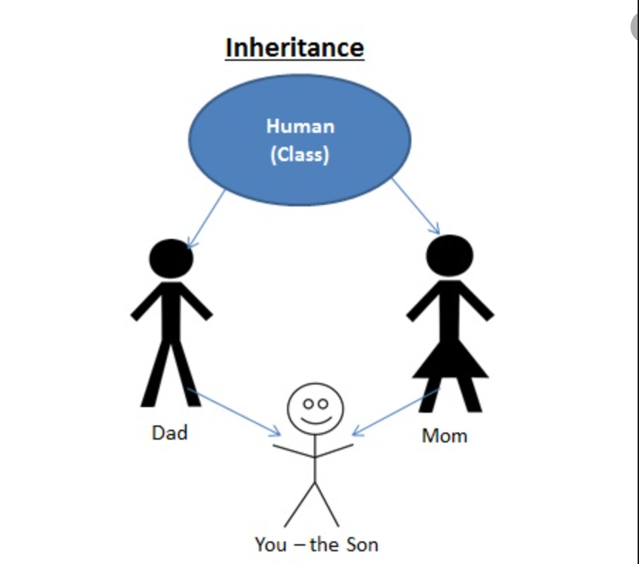 oops-inheritance-and-polymorphism-by-mukesh-chaudhary-medium