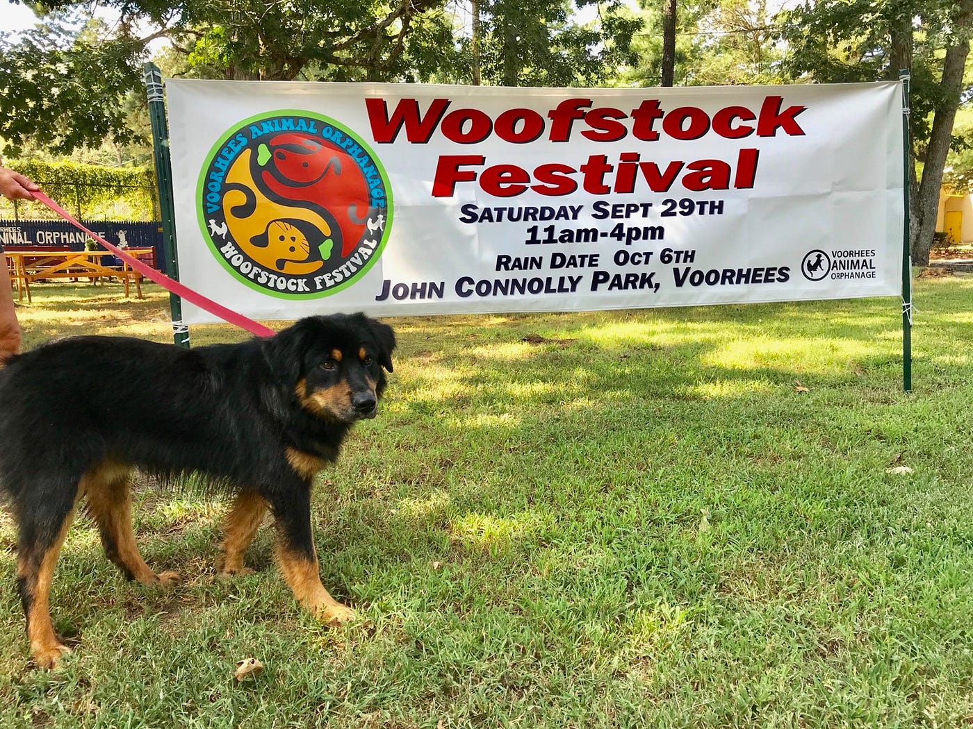 22nd Woofstock Festival coming to John Connolly Park on Sept. 29 by
