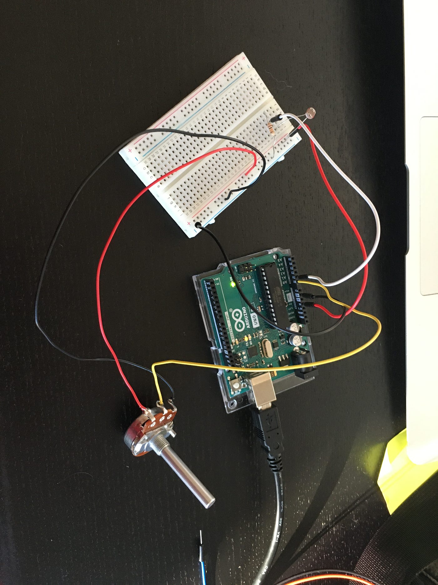 Lab 4 Processing with Force Sensors and Photocells by Eleanor Mayes