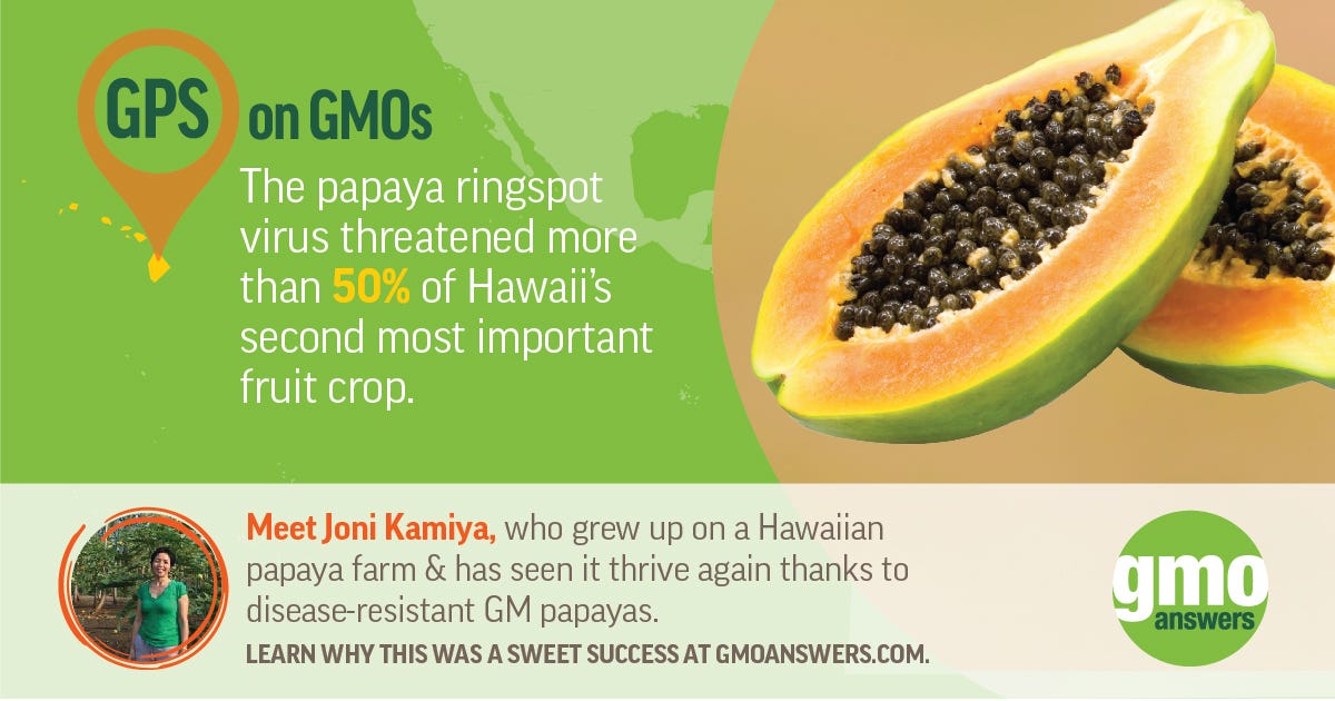 Why The GM Papaya Story Is Personal For This Hawaii Local by GMO