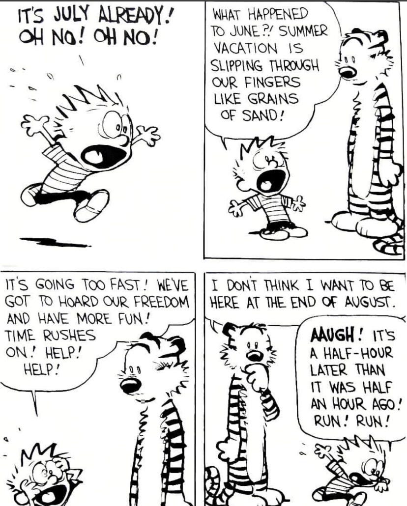 12 Hilarious Calvin & Hobbes Comic Strips With Profound Meaning | by Kiara  Kapoor | Through the Skylight | Medium