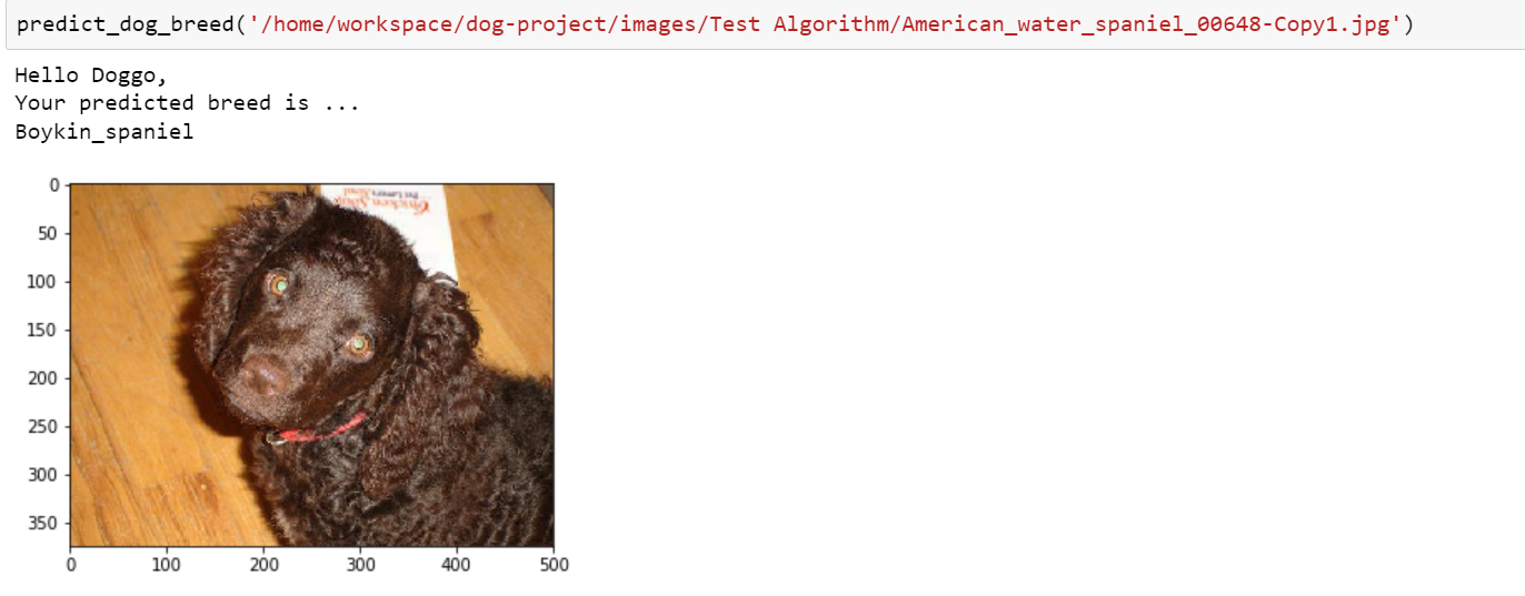 Dog Breed Classification using Deep Learning | by Kaushal Limbachiya ...