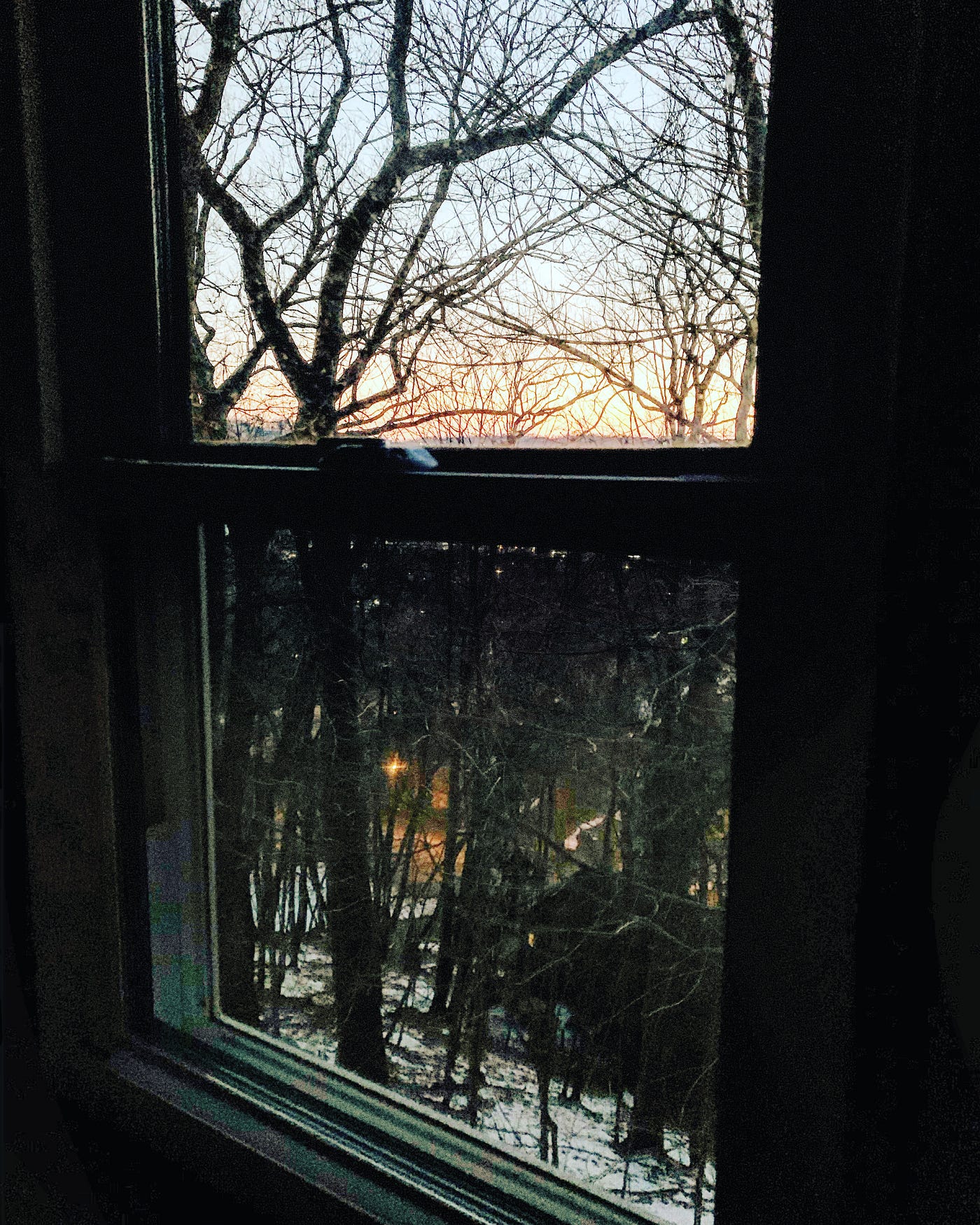 The reader is looking out the window at an ominous sunset in the dusk covered woods
