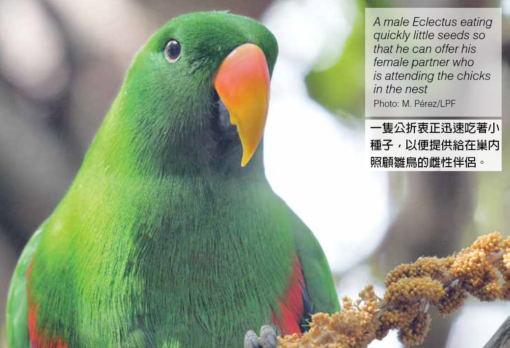 鳥資訊節錄翻譯 物質成份方面 1 以下內容未經同意請勿轉載 所有圖文內容並非做為商業用途 版權歸原作者所有 By Blorian Yang Medium 鳥資訊節錄翻譯 物質成份方面 1 以下內容未經同意請勿轉載 所有圖文內容並非做為商業用途 版權歸原作者所有 By Blorian Yang Medium