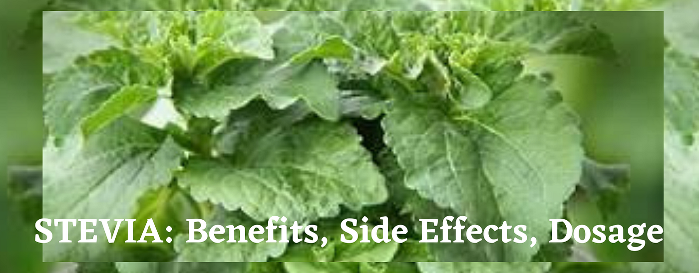 STEVIA Benefits, Side Effects, Dosage and more by Archana Ms. Medium