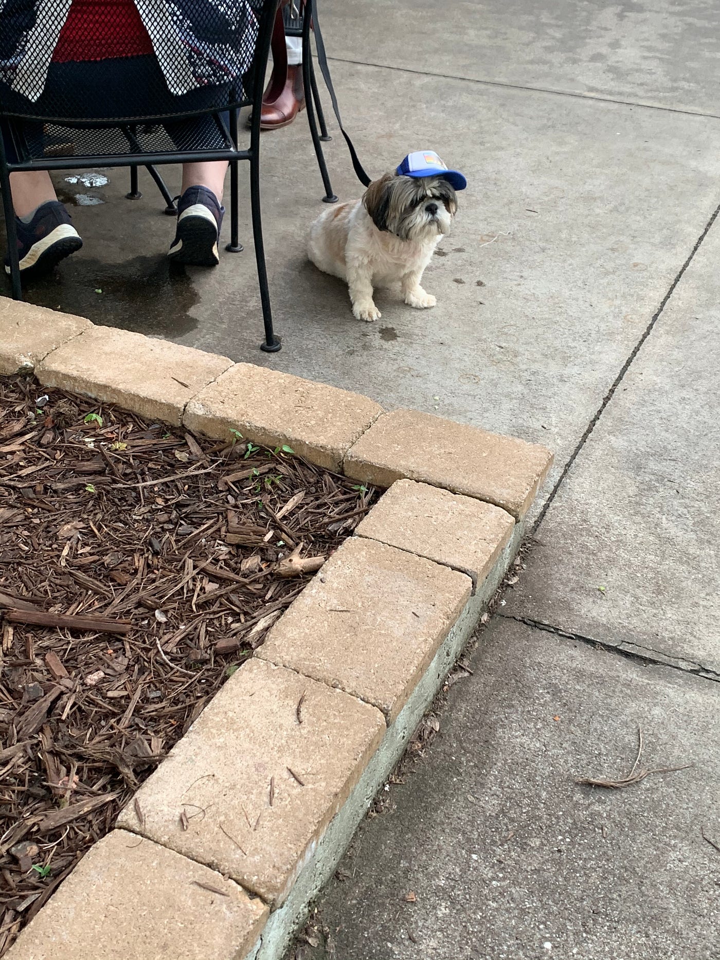 Universal Joint. This restaurant is really cool. You… by The Vegan Farmers Wife Medium