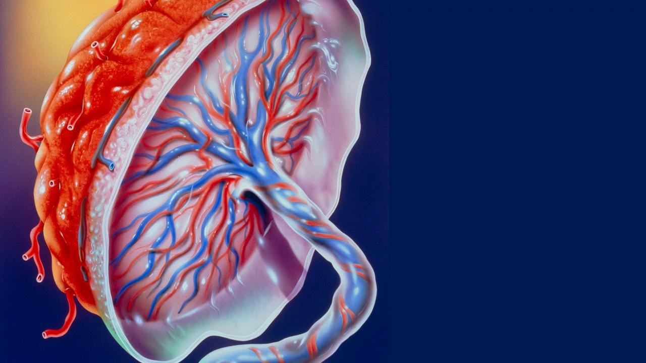 Placental Abnormalities Common Issues During Pregnancy By Angel Joy Medium