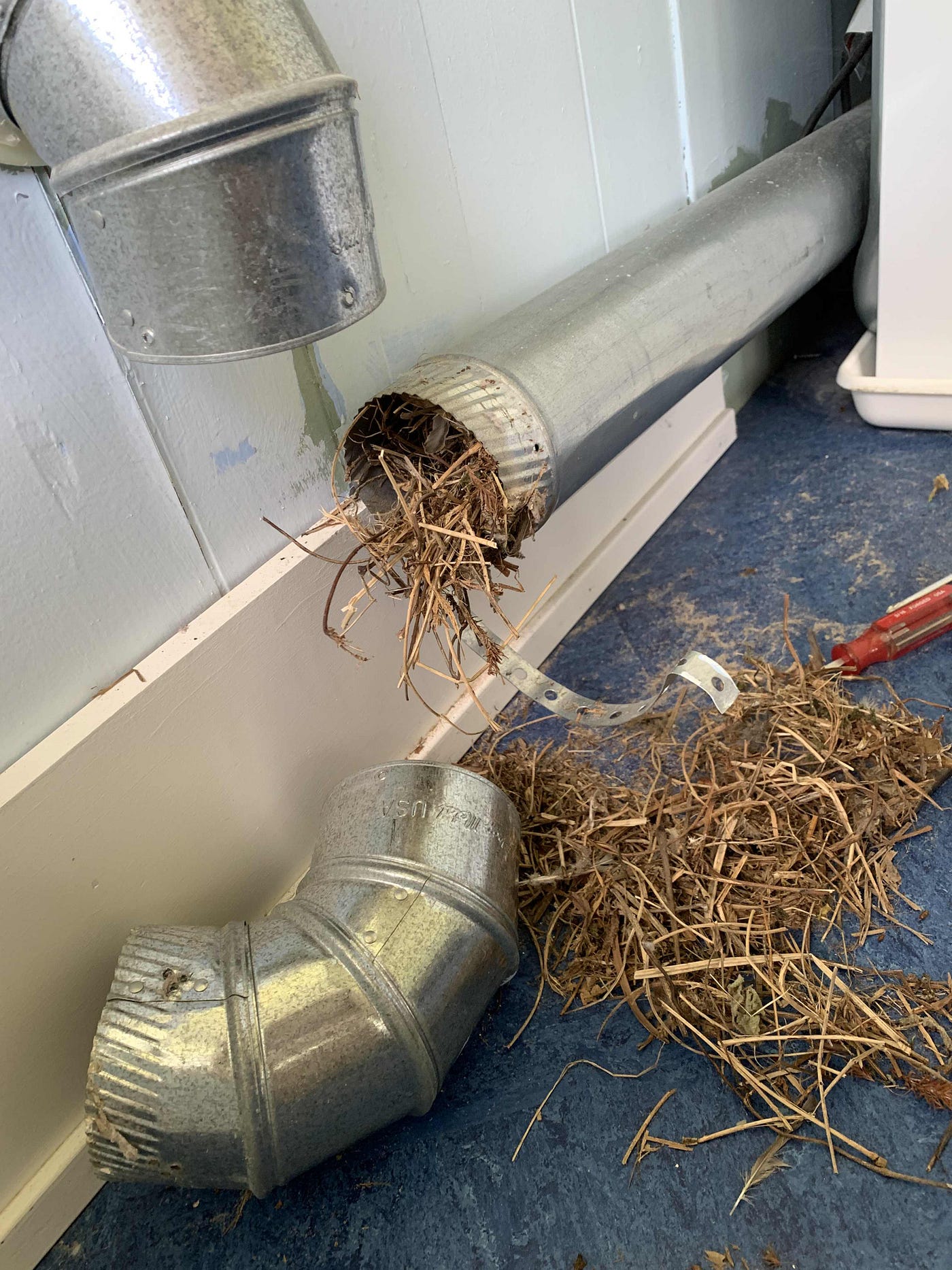 Why Did My Dryer Smell Bad?. If Your dryer stinks, I hope it isn’t