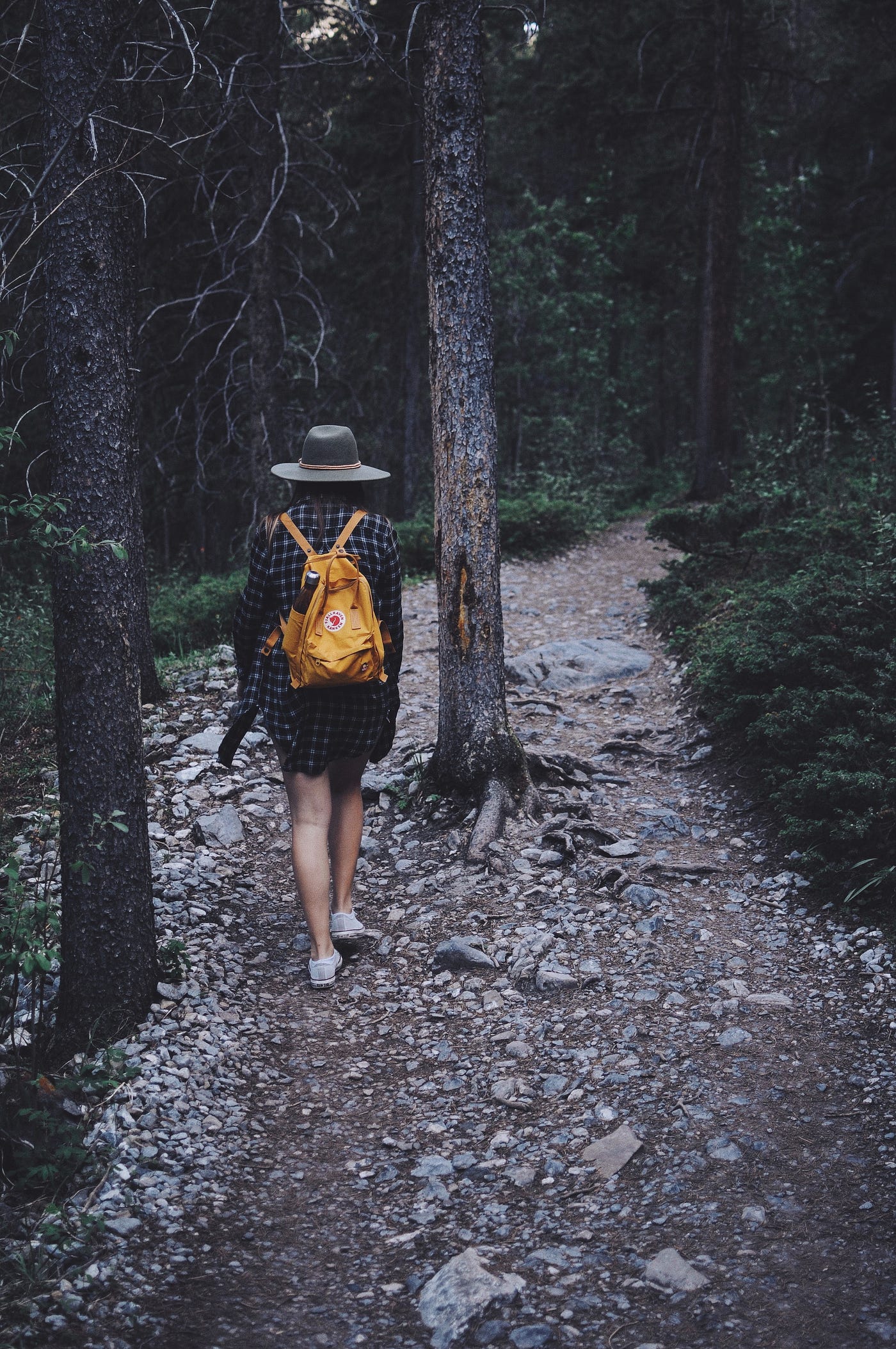 To Find the Perfect Hiking Trail by Monica Medium