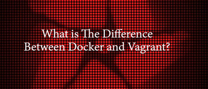vagrant definition vagrant definition