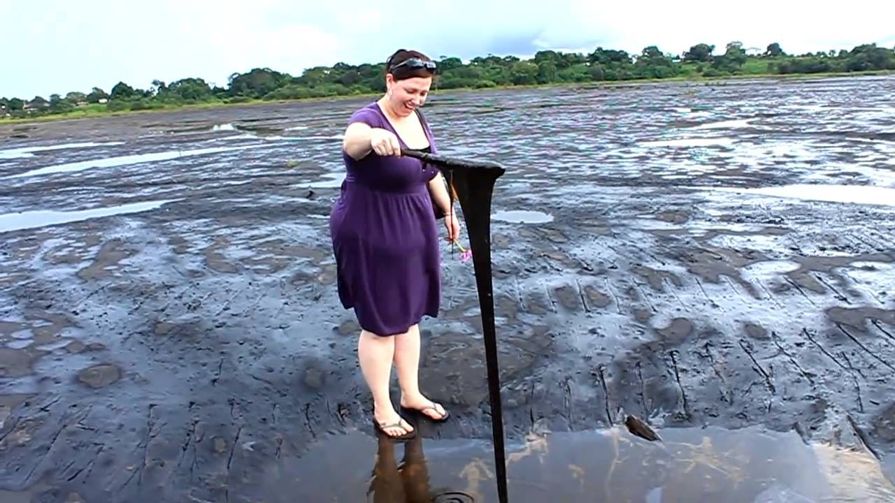 12 Facts Every Trini Should Know About Trinidad Tobago By Dj Jel Dj Jel Blog Medium