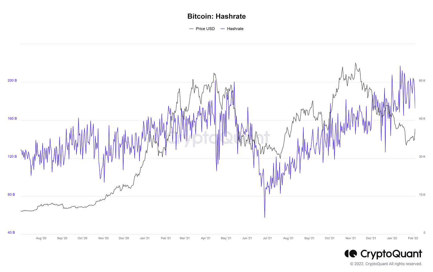 The Bitcoin Hashrate