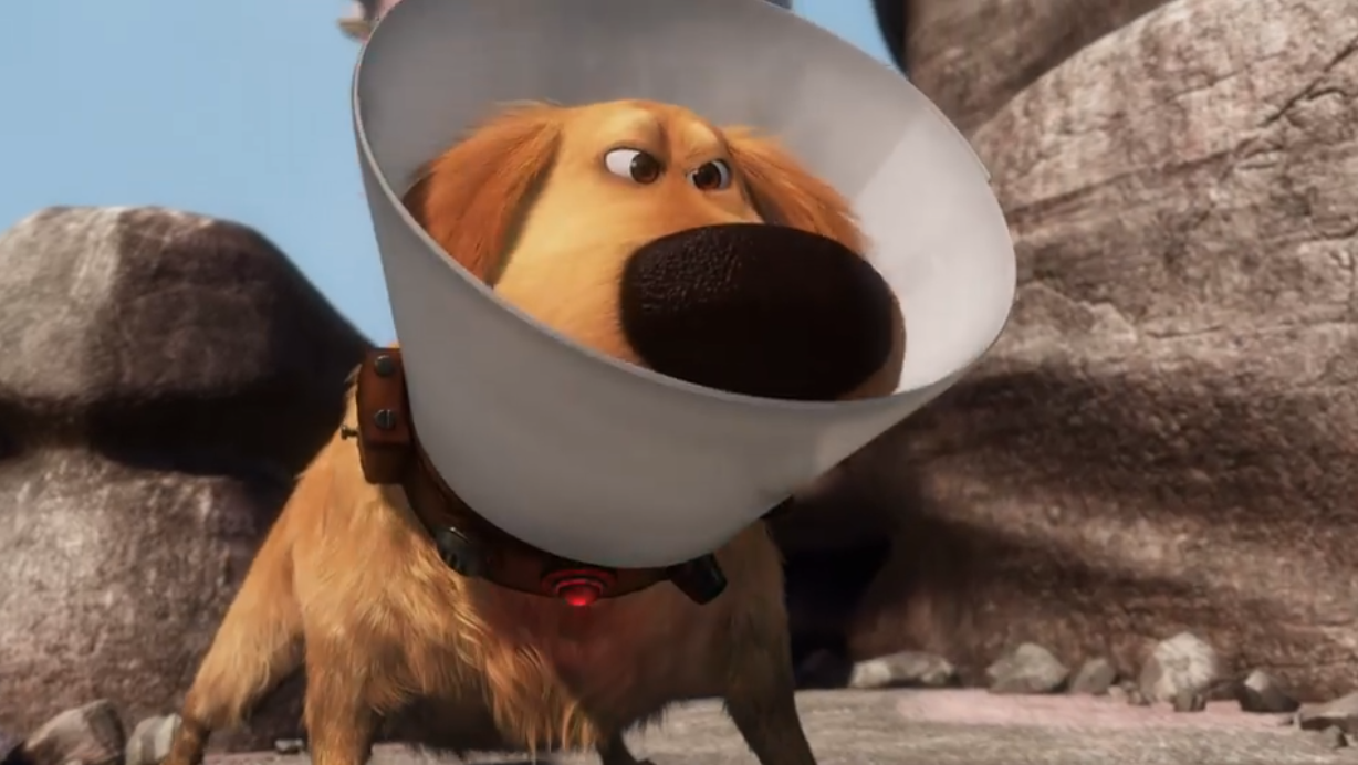 Dog Days Of Summer Dug Is The Real Hero Of Disney Pixar S Up By Sarah Erskine Incluvie Medium