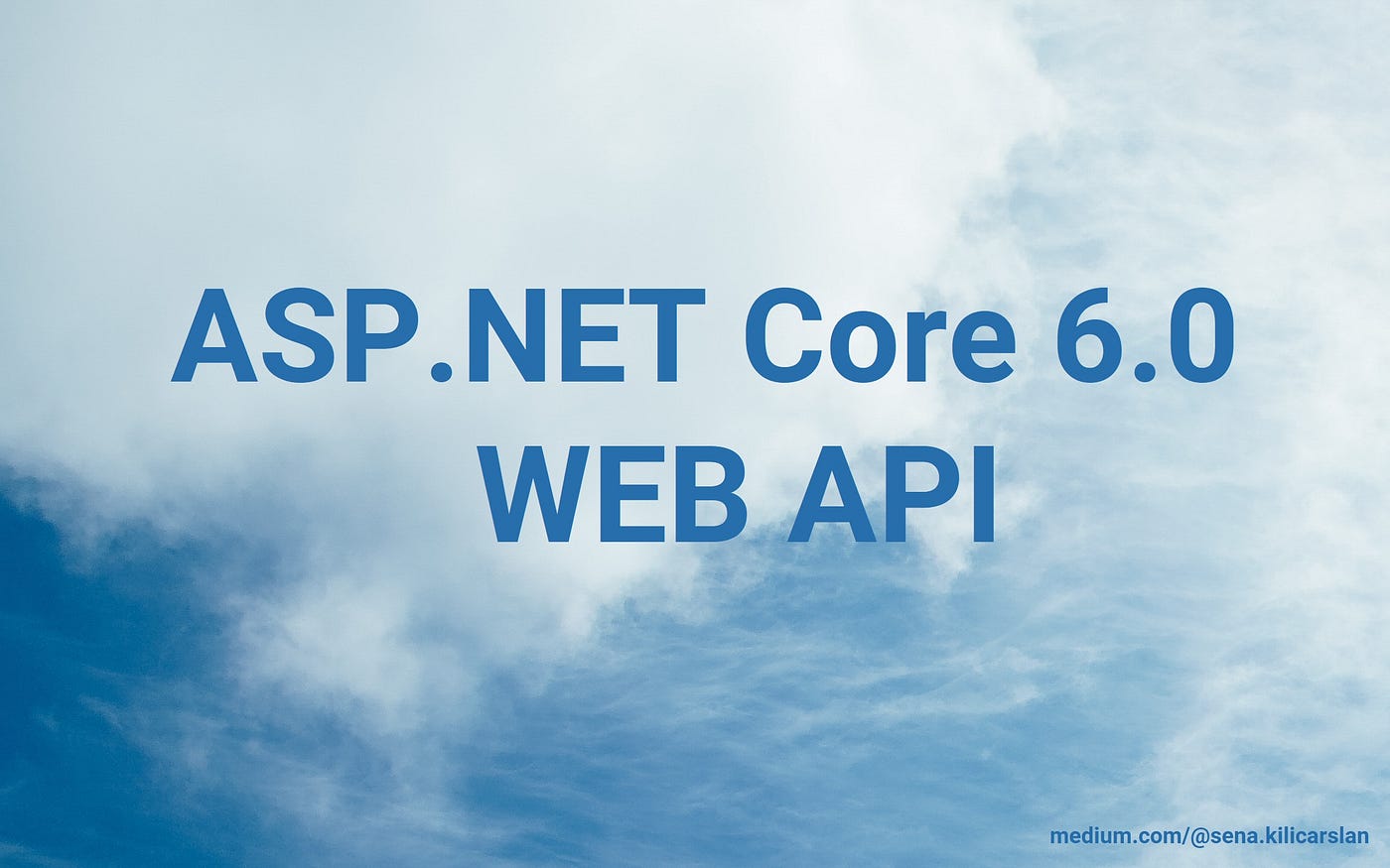 Build a RESTful Web API with ASP.NET Core 6 | by Sena Kılıçarslan ...
