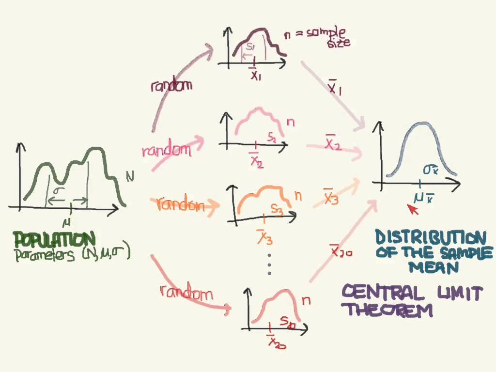 what-is-central-limit-theorem-clt-by-biraj-parikh-medium