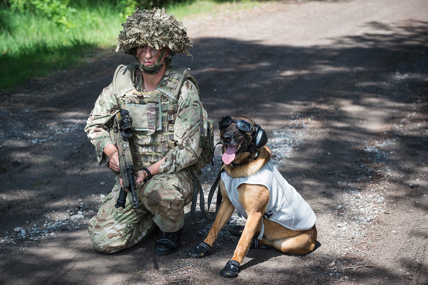 did we leave military working dogs in afghanistan