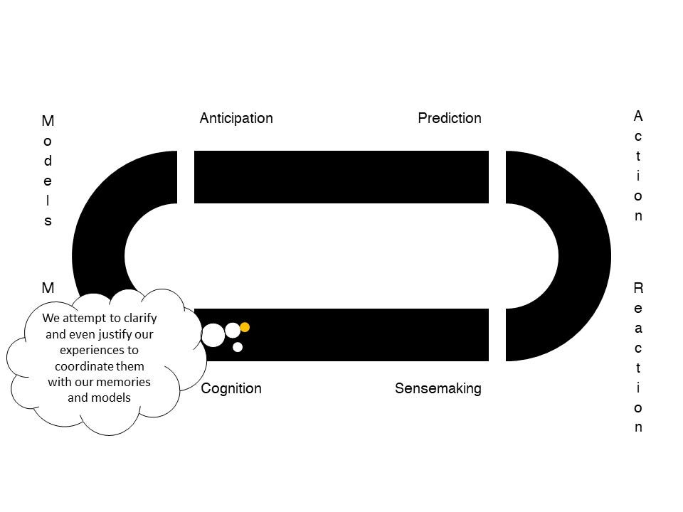 Cognition: we attempt to clarify and even justify our experiences to coordinate them with out memories and models