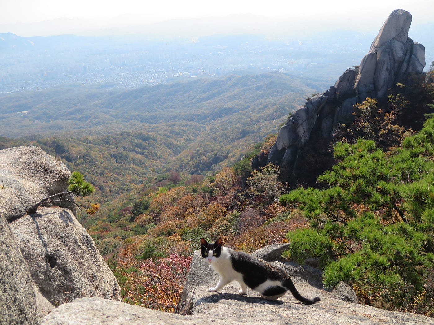 Jaunbong Peak On Bukhansan National Park In Seoul South Korea By Lee Chien Hao Medium